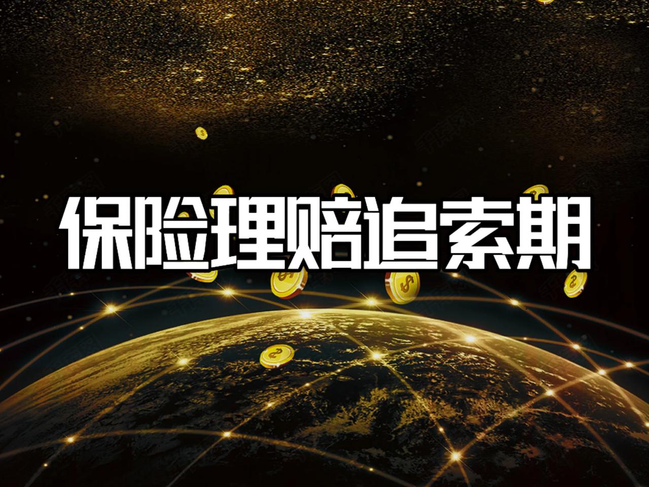 保险理赔追索期即保险索赔时效。
是指被保险人或受益人在知道保险事故发生后，向保险