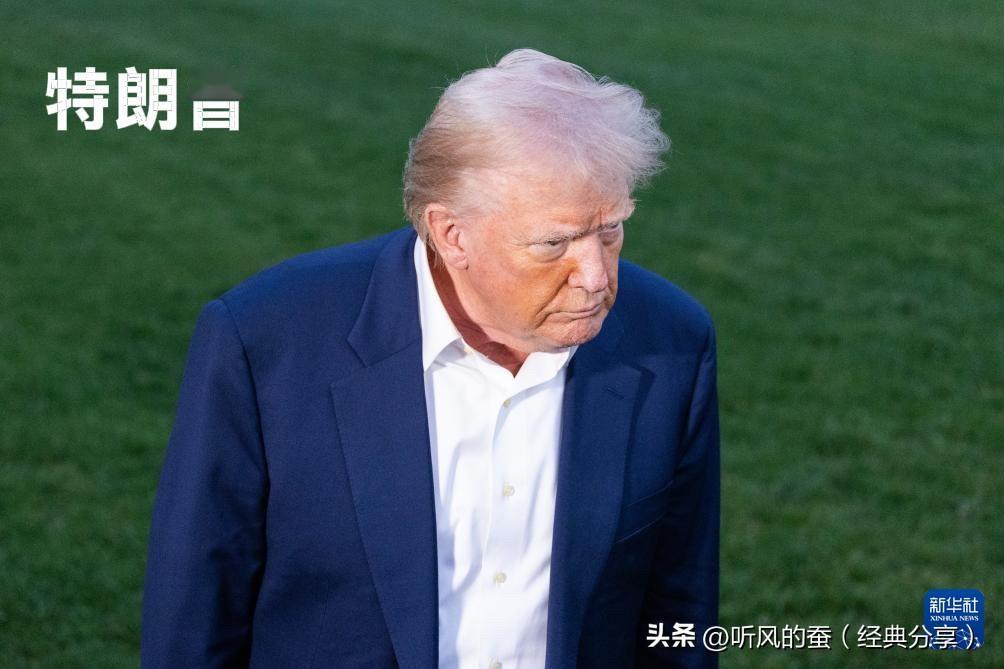 只要钱到位，特朗普能帮你把玻璃干细碎！

最近特朗普的“操作”真是让人大开眼界！