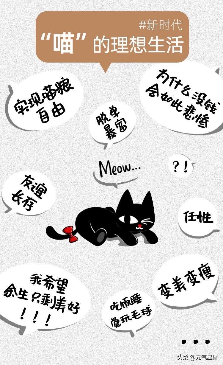 幸福在我看来就是喵生的生活：不用上班，免费吃住，每天吃了就睡，醒了就晒太阳、自己