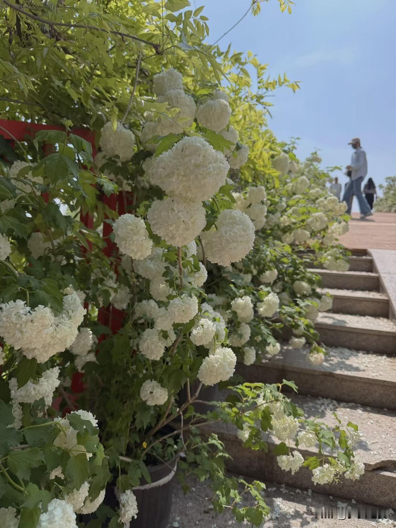 【小对联】
上：叩问；
下：……？