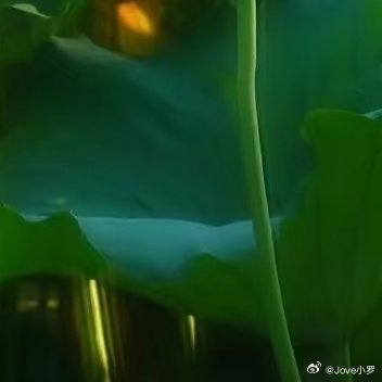 心定，则人稳；人稳，则事顺；事顺，则财来。人生最好的风水，其实是自己的内心。把心