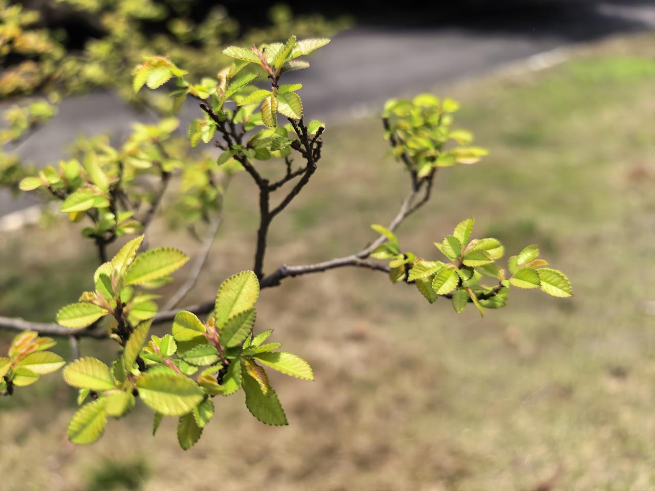 春天踏青好，一点阳光就灿烂