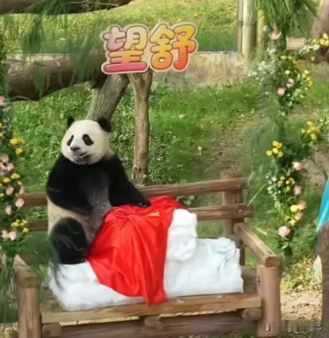 今天，小月亮1岁了，大家都好开心啊！小姑娘的大名叫:望舒，多么优美又有诗意的名字