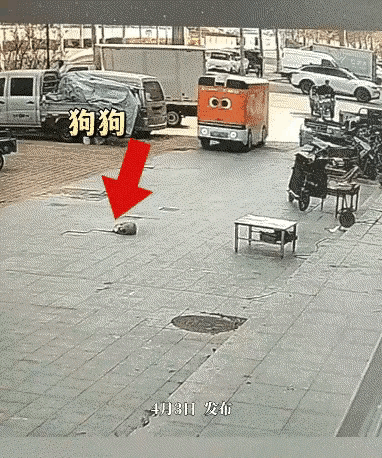 现在无人驾驶这么霸道吗？🤔