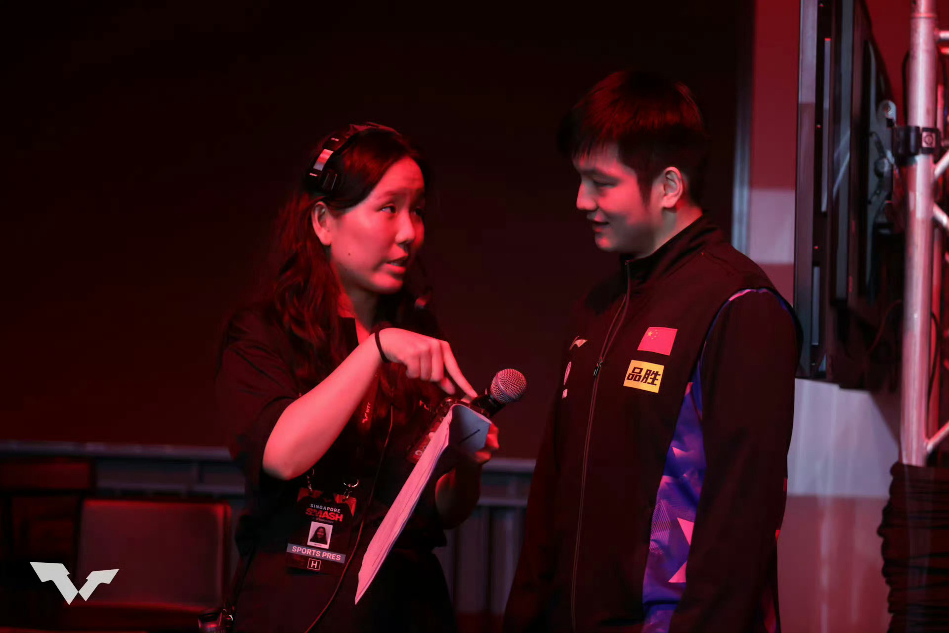 樊振东 所有人感受吧 