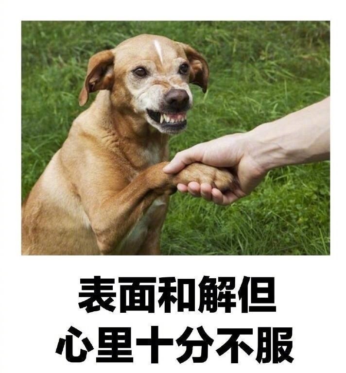 反正戏份都一样多，永接大组