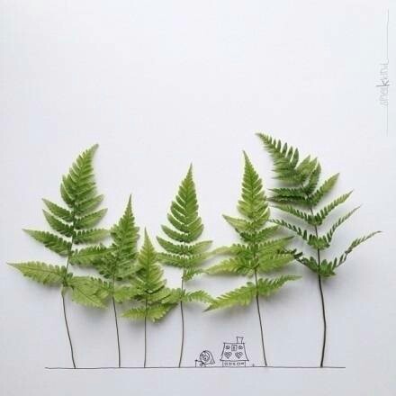 有人说：幸福的人都沉默。百思不得其解，问一友人，对方淡然自若地答：因为幸福从不比