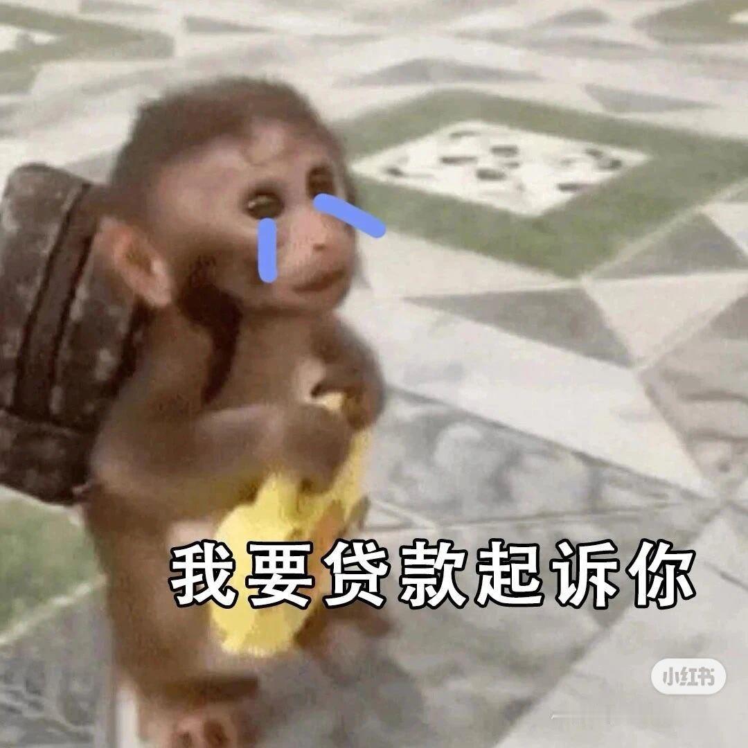 苹果华为小米集体降价我认真问一句，为什么这次17不跟17了？ 