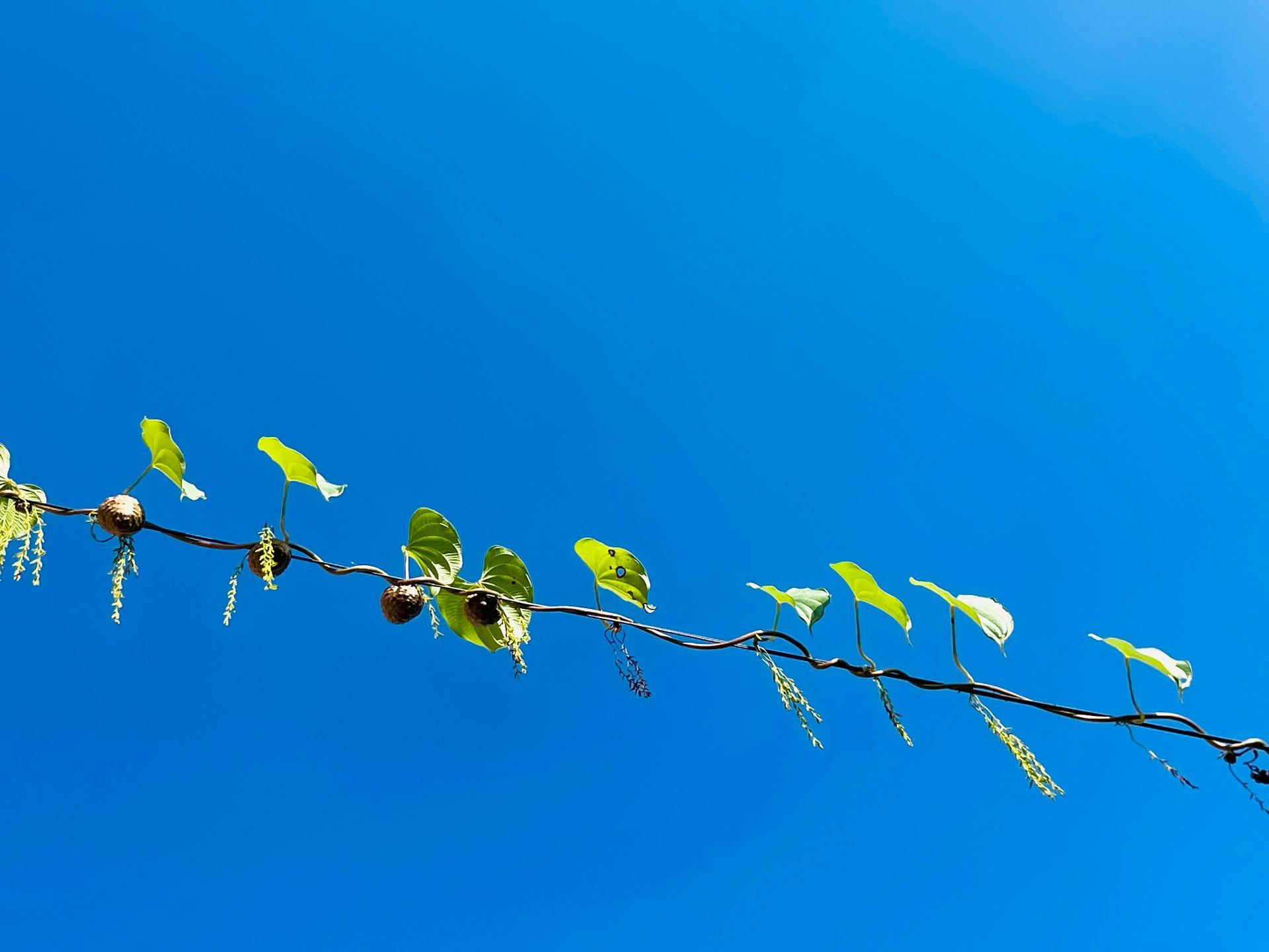 可以看看你们手机里的天空吗