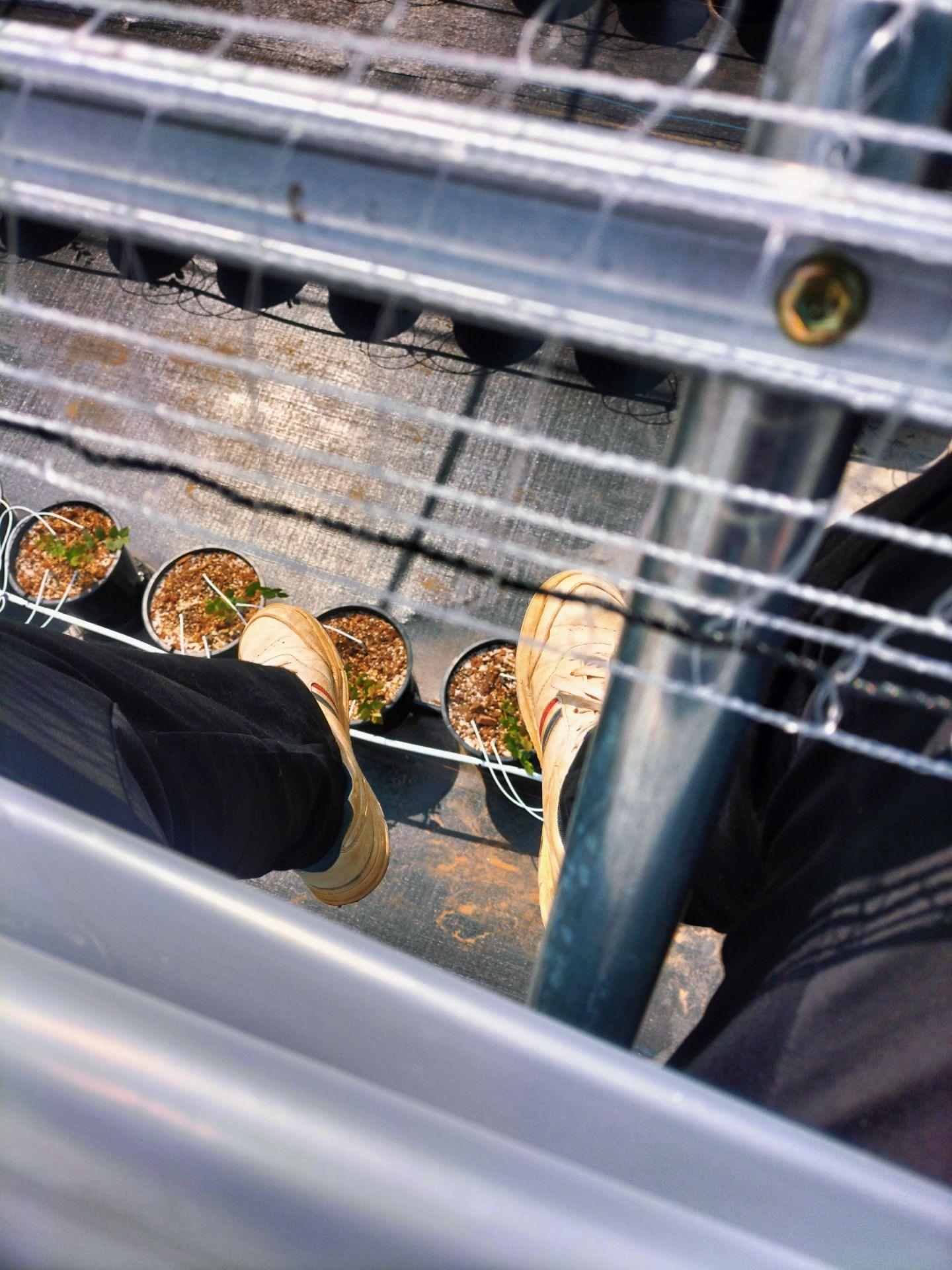 万一我真的一辈子对你好呢？