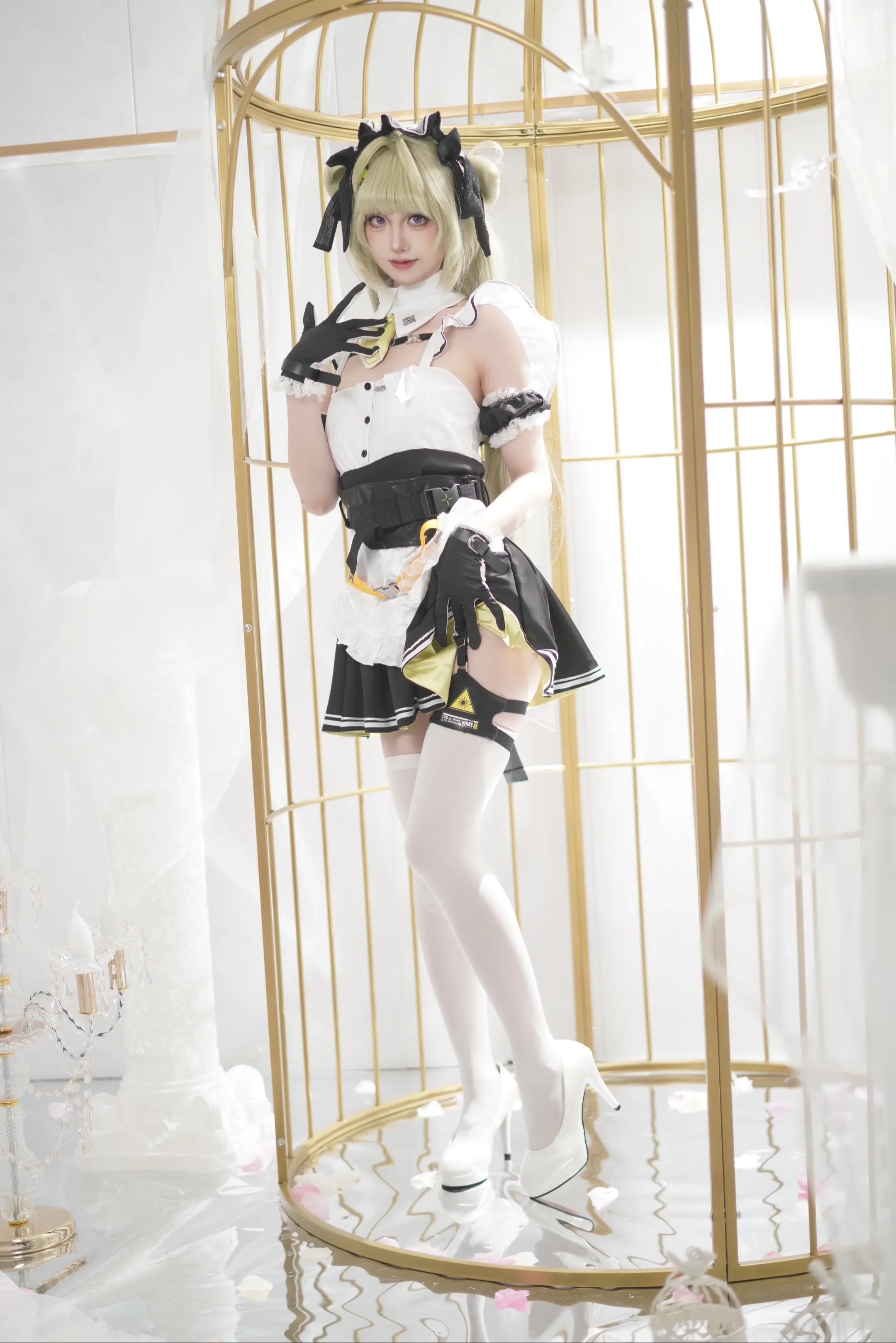 📷 卷心菜