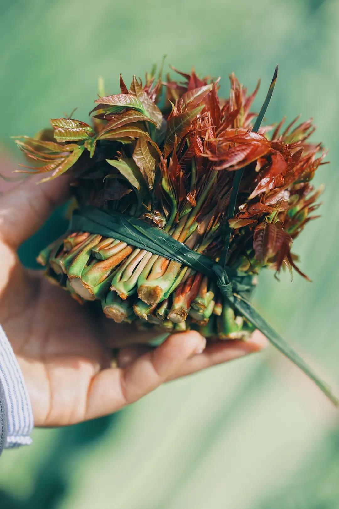 买菜的小技巧：

1带鱼：不买黄眼的
2花菜：不买紧实的
3土豆：买黄心的
4冬