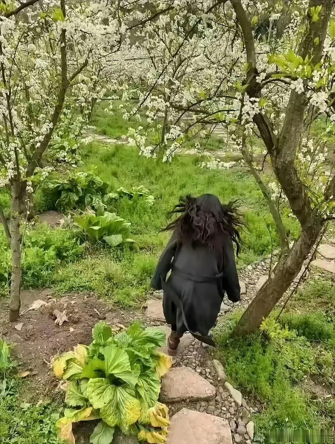 网友抱怨，自己爬山踏青，结果硬是被老公拍成了野猪。