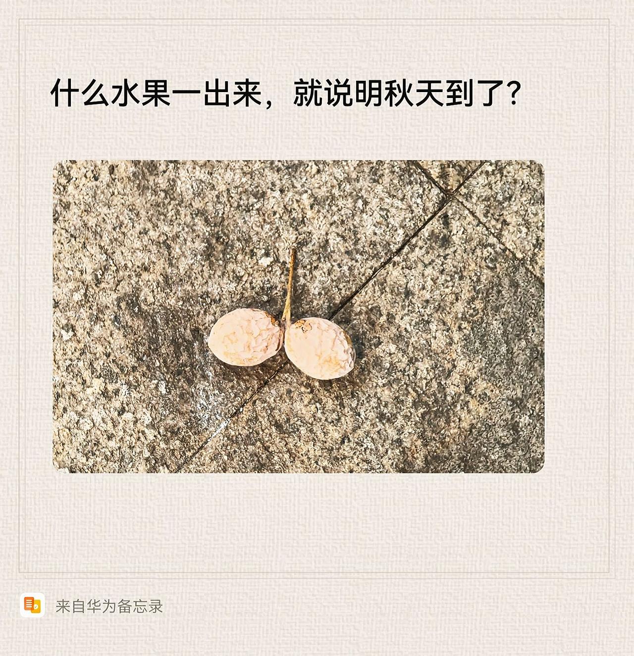 什么水果一出来，就说明秋天到了？