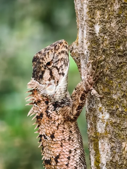 震惊❗️手机拍照已经到这个level 了