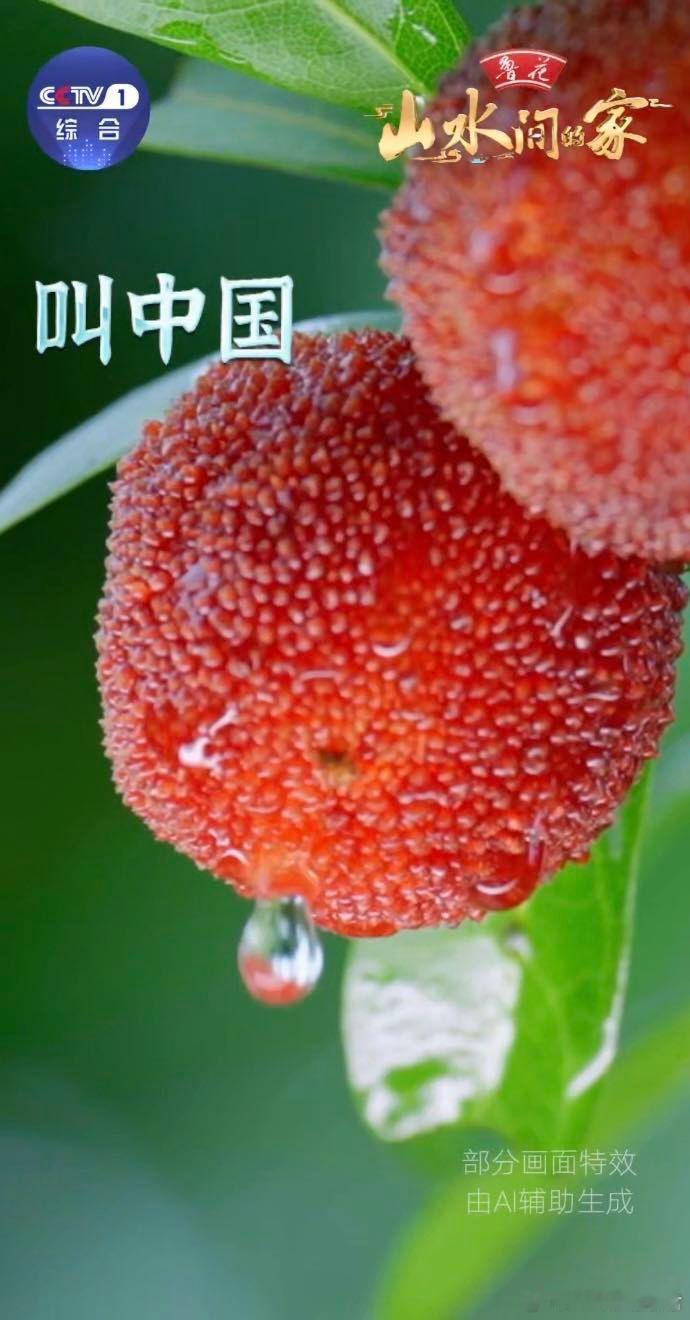 有一种美学叫中国圆中国圆究竟有多美 生活处处是中国圆：园林月洞门、中秋团圆饼、家