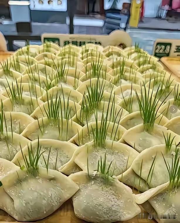 我看出来了，是韭菜鸡蛋馅的饺子[耶]