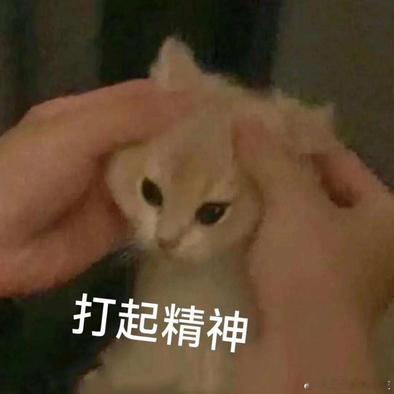 终于把set的宣图弄好了，一会儿发一下 ​​​