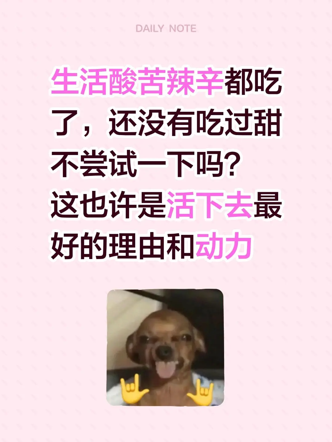 生活酸苦辣辛都吃了，还没有吃过甜不尝试一下吗？ 这也许是活下去最好的理由和动力