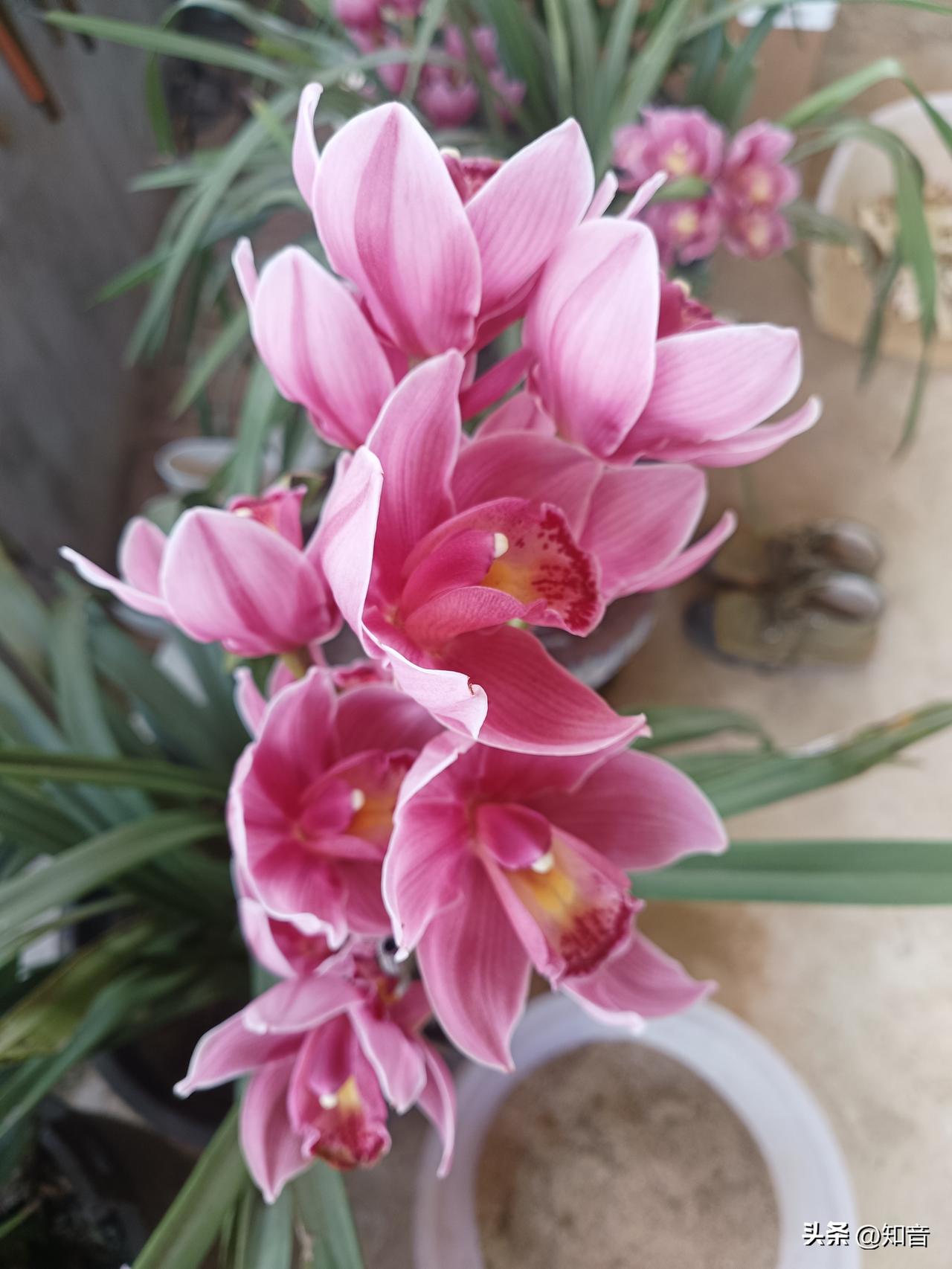 看到伊朗的平民无家可归后！

我立即做出了四个非常重要的决定。

第一个决定：珍