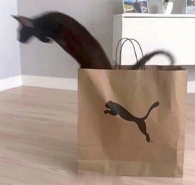“为了品牌代言!拼了！” ​​​