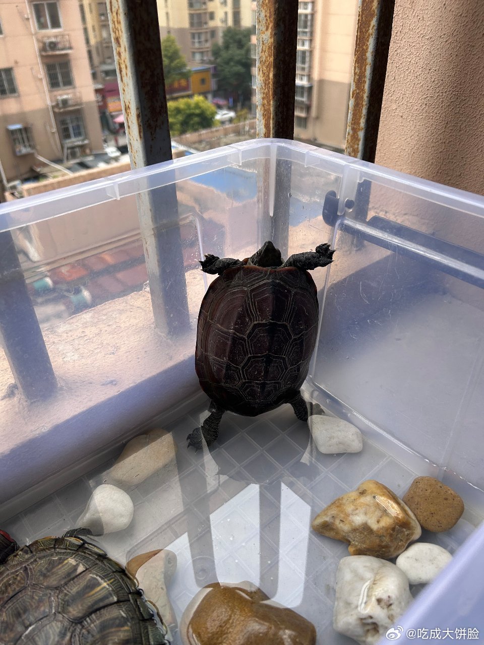 昨晚排队加油，抢在12点加满一箱油。结果今天一开盘，车亏没了！机票燃油费大涨