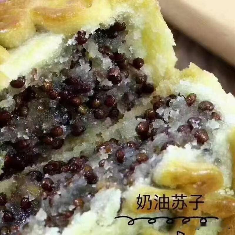 同行那个大奇葩，心也是大，让我给cc送货，竟然少了两包，我是裤裆抹黄泥，不是屎也
