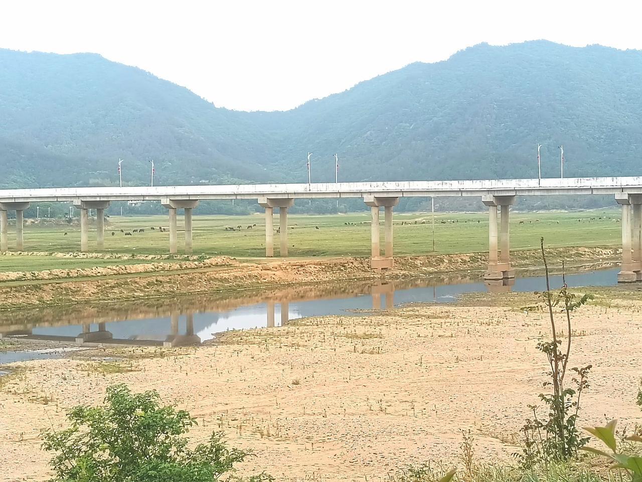 5月4日早上，来商城县南15千米处达权店境内·灌河草原，这里 天空湛蓝如镜，白云