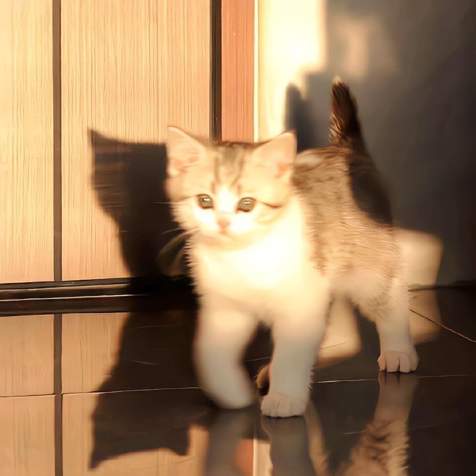 🧃ᯐ꙳𝑳𝒐𝒗𝒆  ༘* °🫧    “吹着搞钱的风，做着发财的梦， 