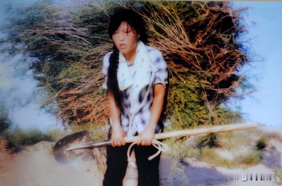 “宁可种树累死，也不叫沙欺负死”，这是殷玉珍当年咬牙立下的誓言。
殷玉珍是这样说