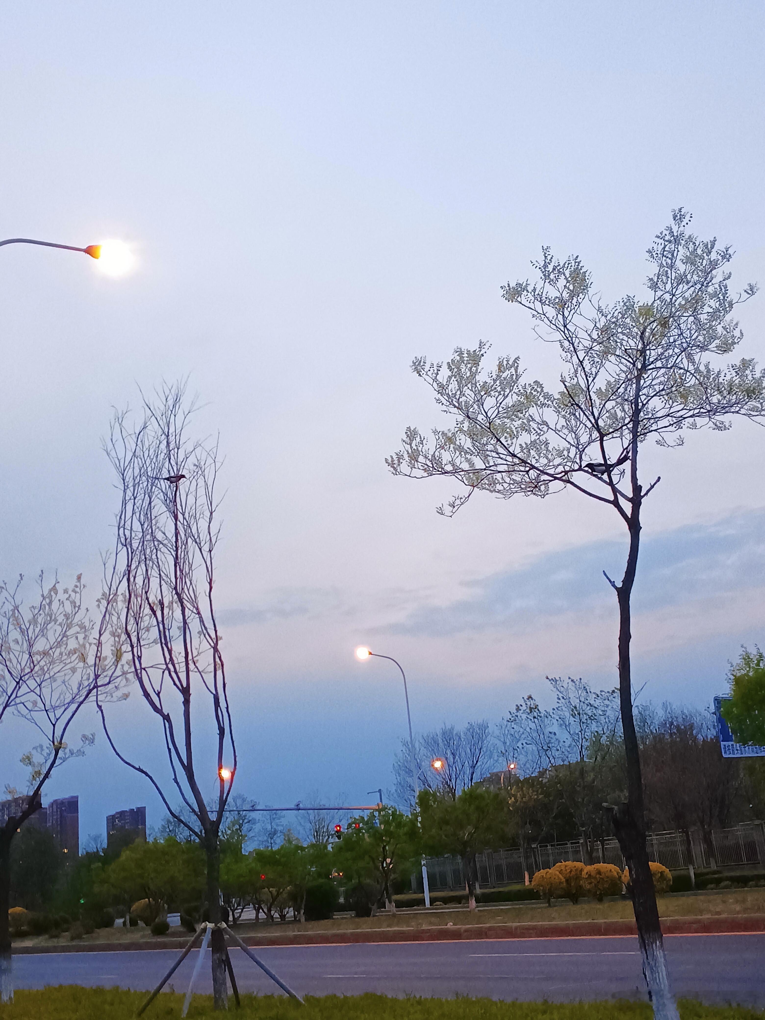 一个人能观察落叶，鲜花，从细微处欣赏一切，生活就不能把他怎么样。女性主义作家伍尔