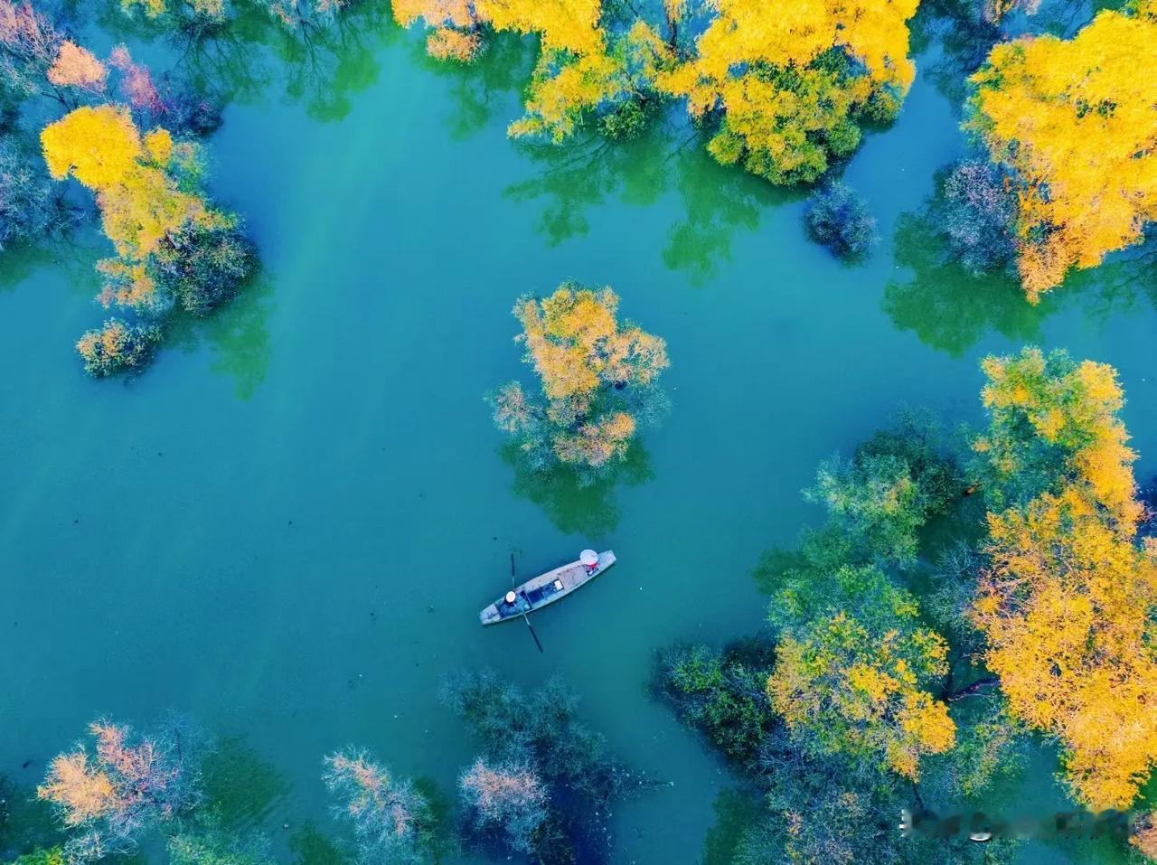 《鹧鸪天•初冬回龙湾》
（原创首发）陋室听秋/文
 
霜落初冬访龙湾，丹枫似火韵