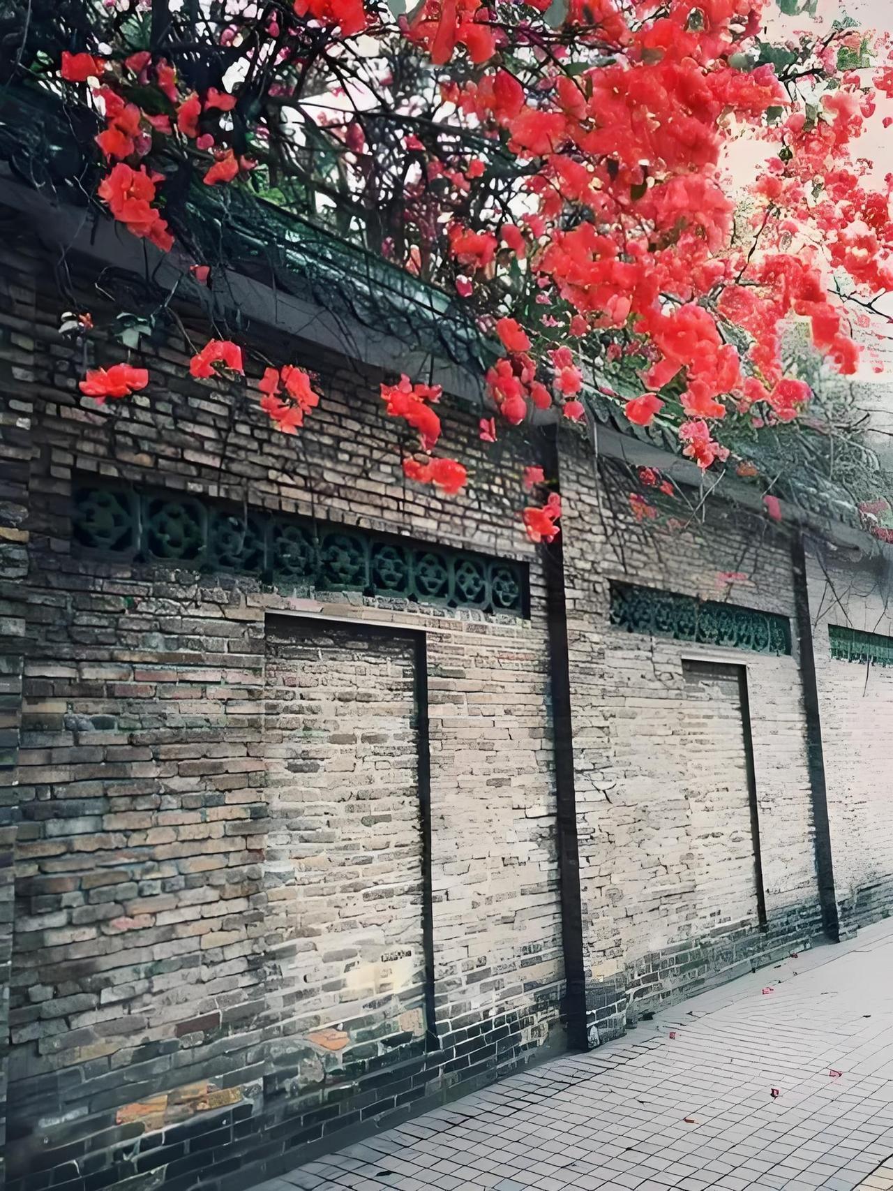 一枝红杏出墙来，
暗藏羞色露粉腮，
欲窥人间红尘事，
……请友续句………？
[烟