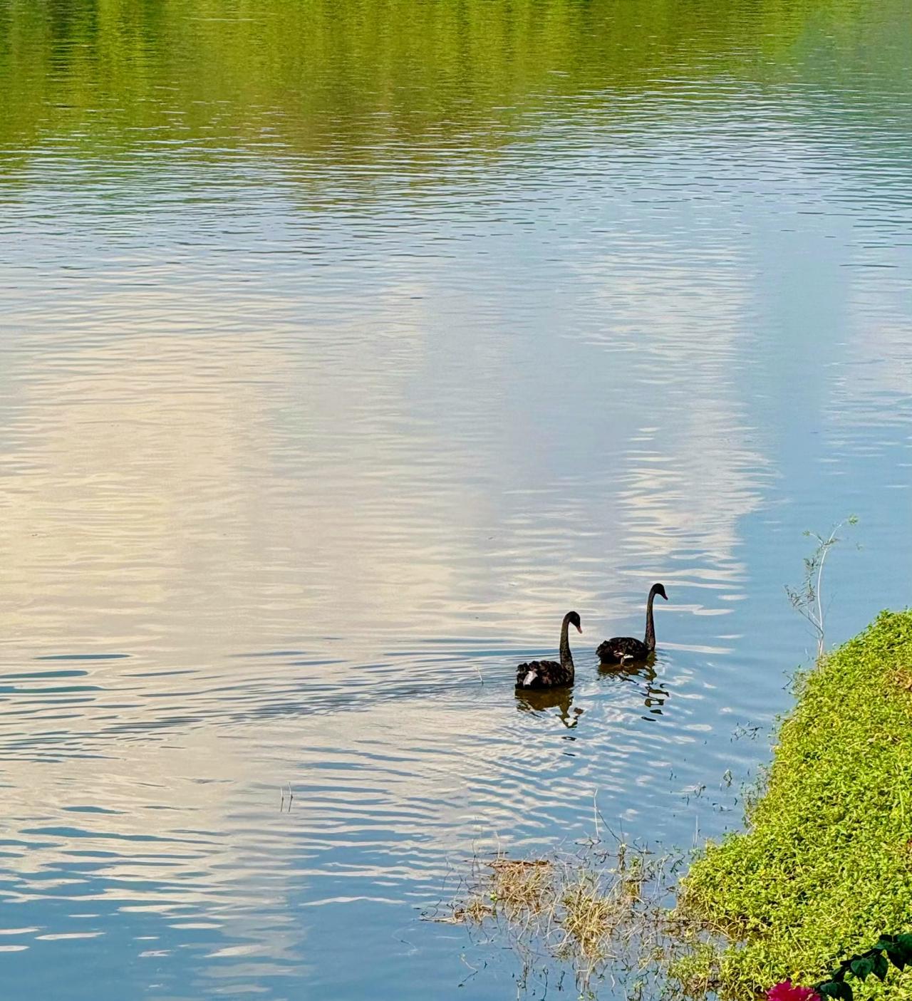 ：）
一段虐心的话：情关难过，是劫是债谁有我贱，有我烂。我连一个根本就一点不爱我