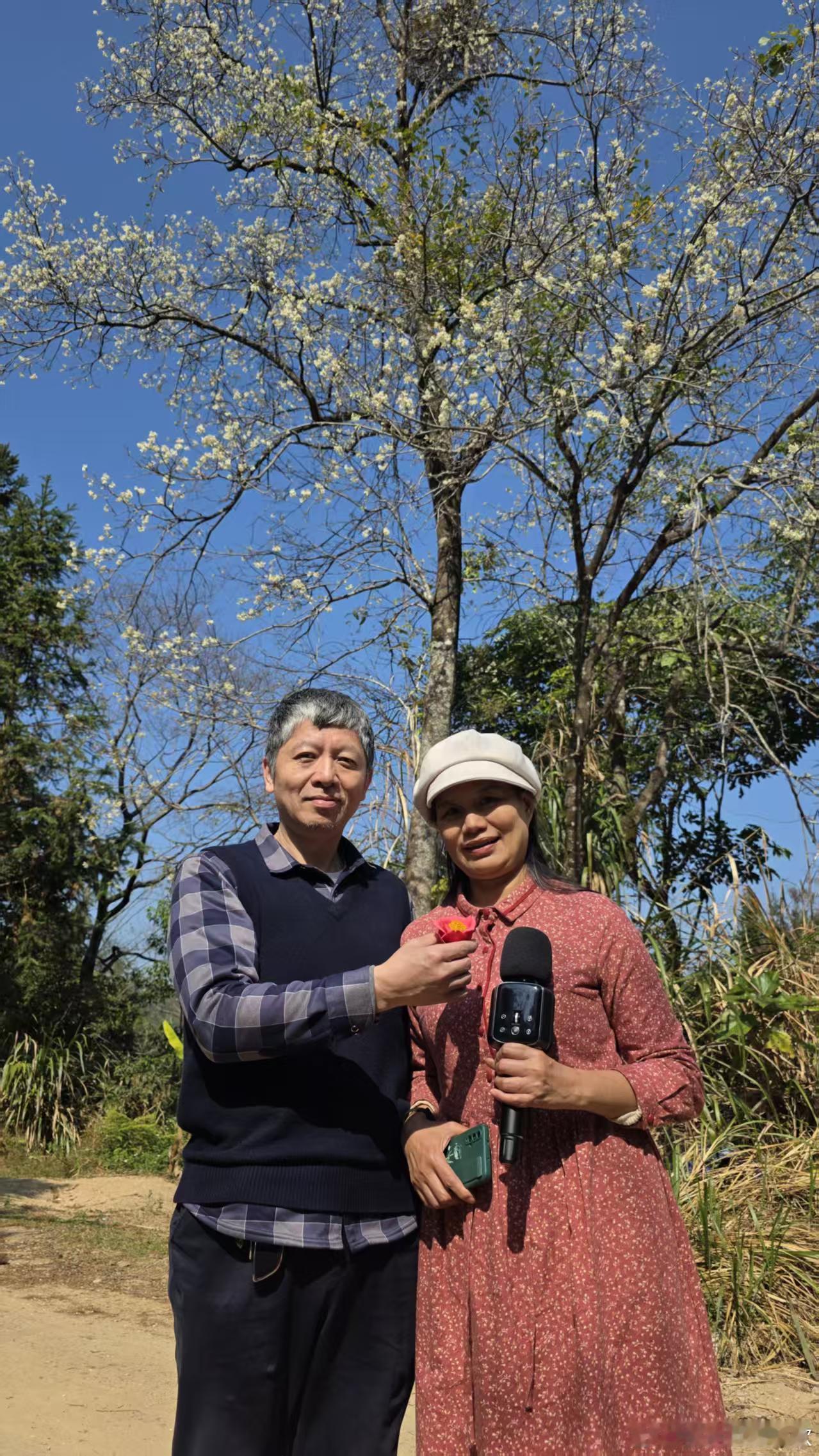 今天有幸在桂峰村山上找到一株200多岁的李花树，忍不住在树下高歌一曲才尽兴。 