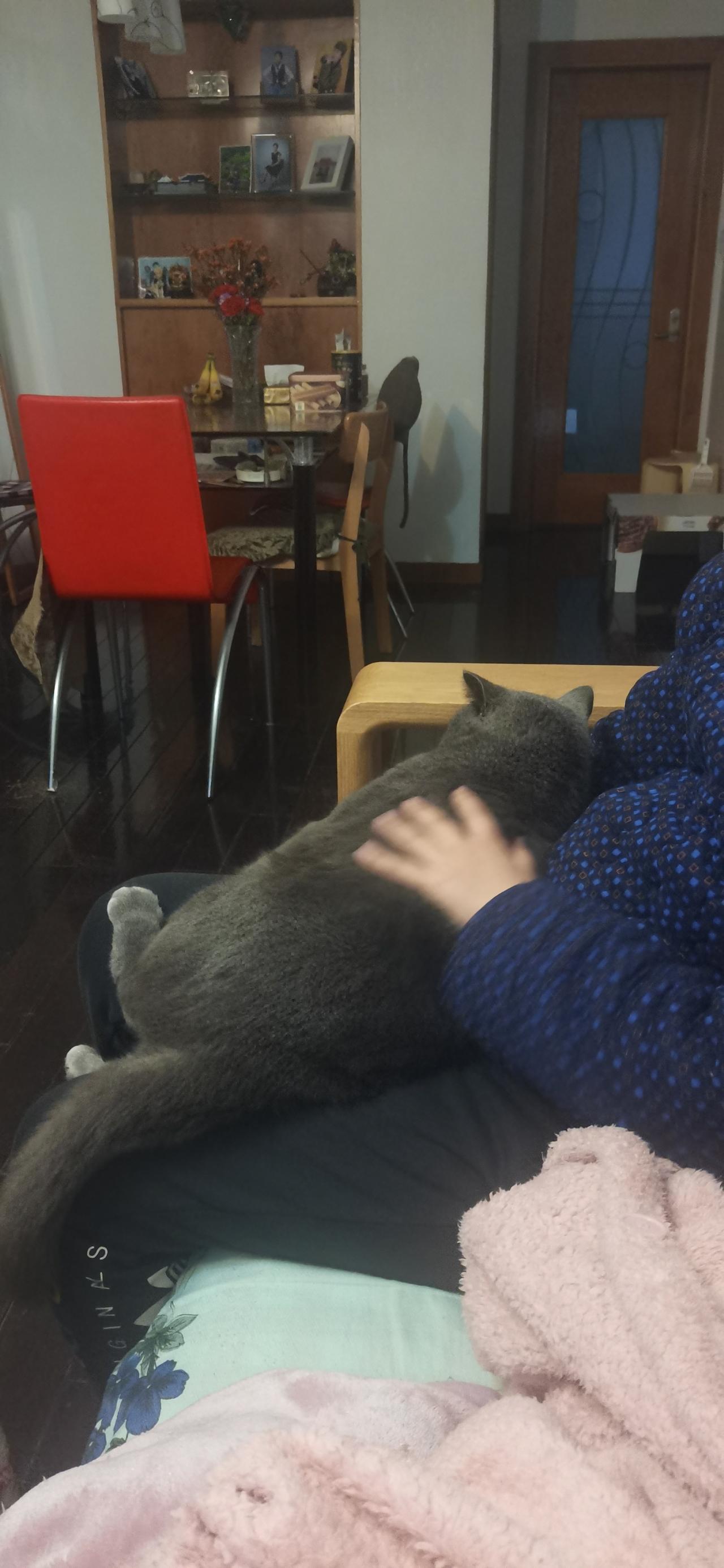 怎样才能赚钱呢？