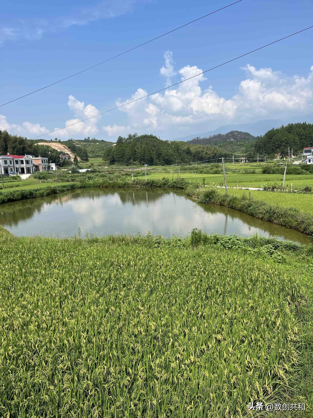 以前日子穷，可大家反倒怀念，为啥呢？就因为旧时光里有独特的情怀。那时候家里都紧巴