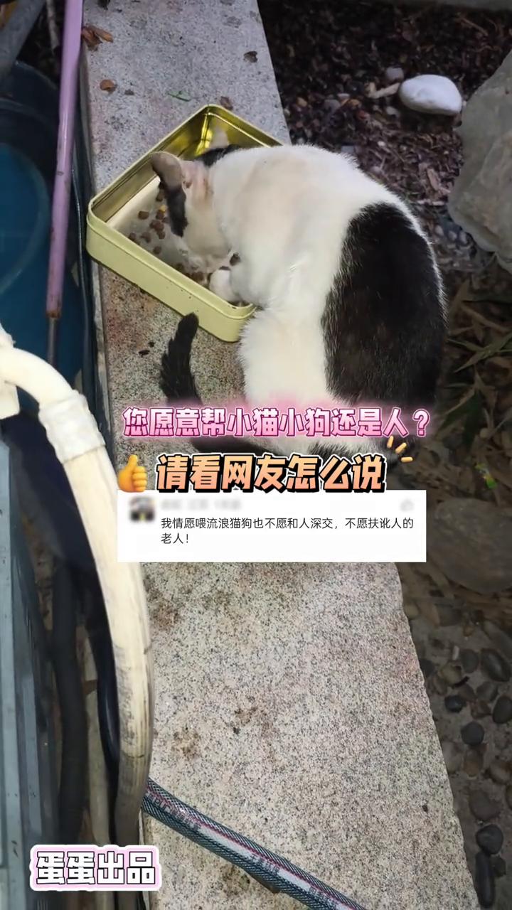 您愿意帮小猫小狗还是人？请看网友怎么说。
蛋蛋出品。