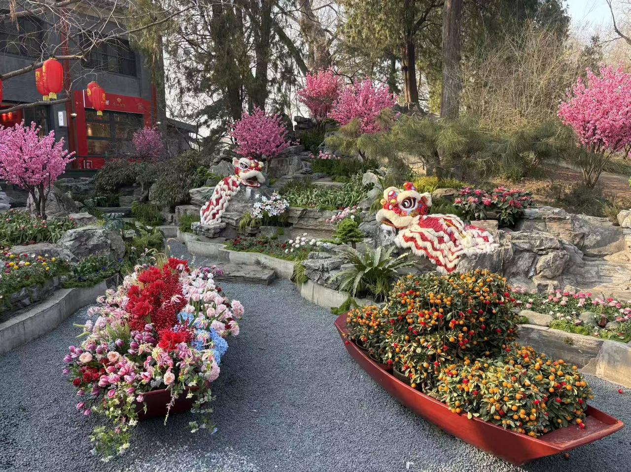 谁有花草照片，可以晒下吗