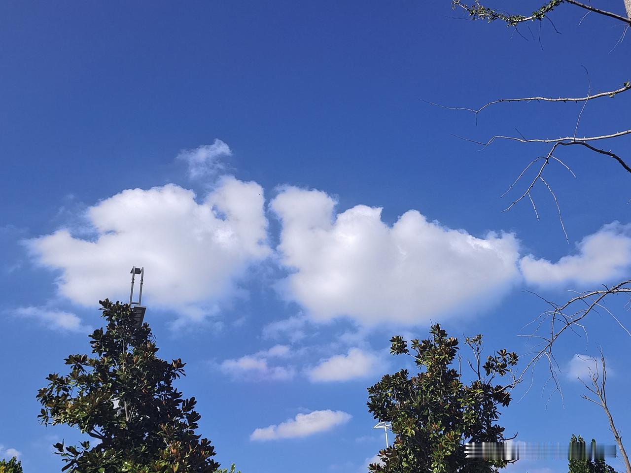 观白云有感：

天上流云似鸳鸯，
两两相依情谊长。
青年男女最愉快，
相约可以谈
