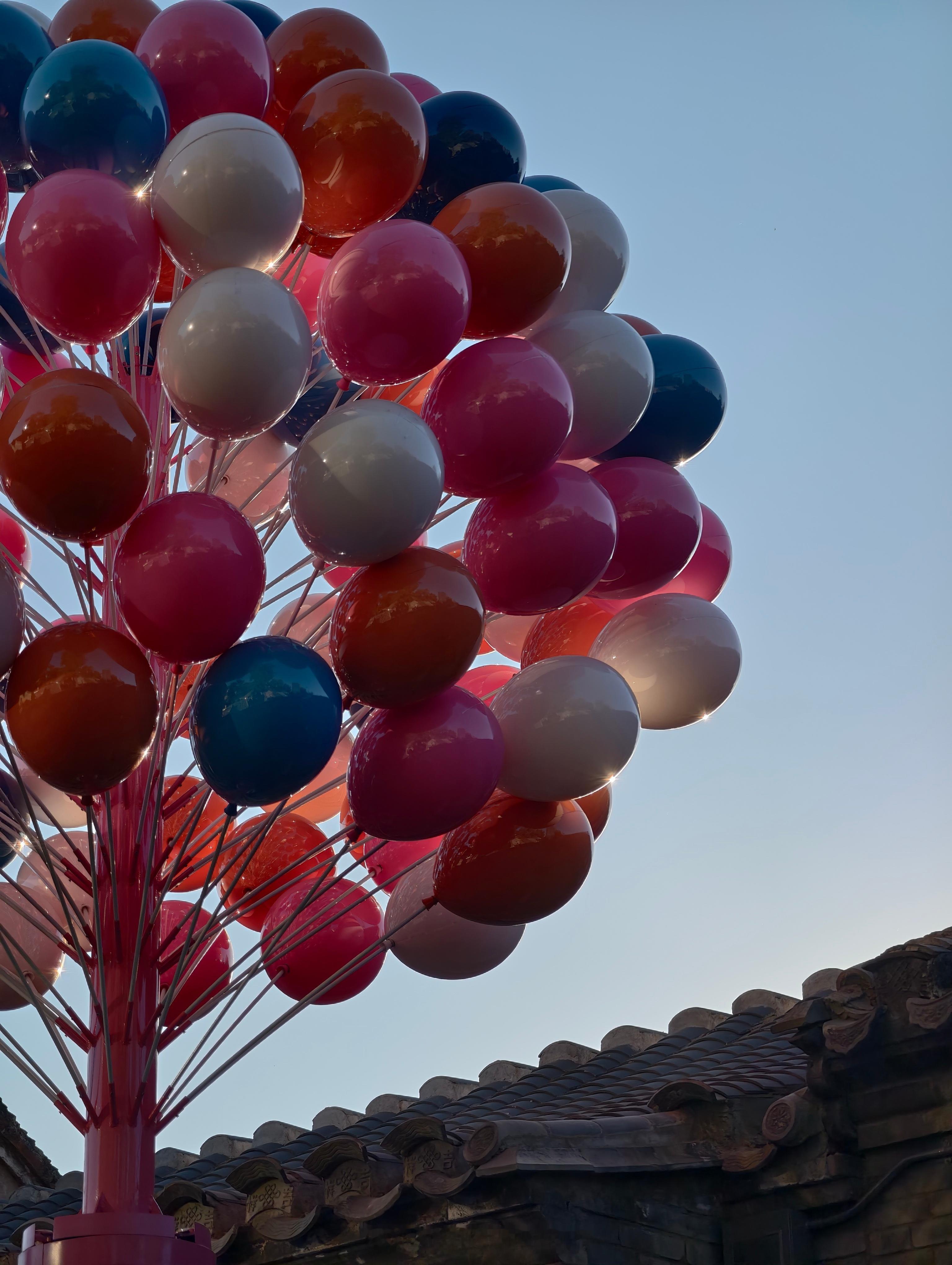 祝福大家都是及时行乐的人哈布尔的随行拍  ​​​