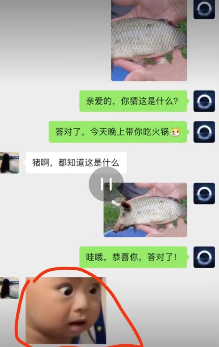 这猪猪长得还挺好玩 ​​​