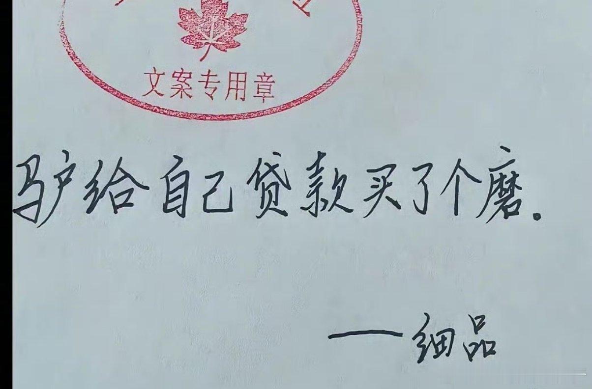 提高审美，聚焦龙头。提高自己对股票的审美，不要什么阿猫阿狗小杂毛都去碰、都去买，