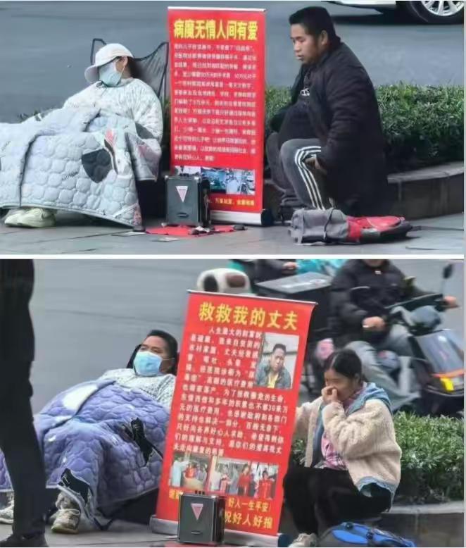 真苦不献丑，献丑吃情食