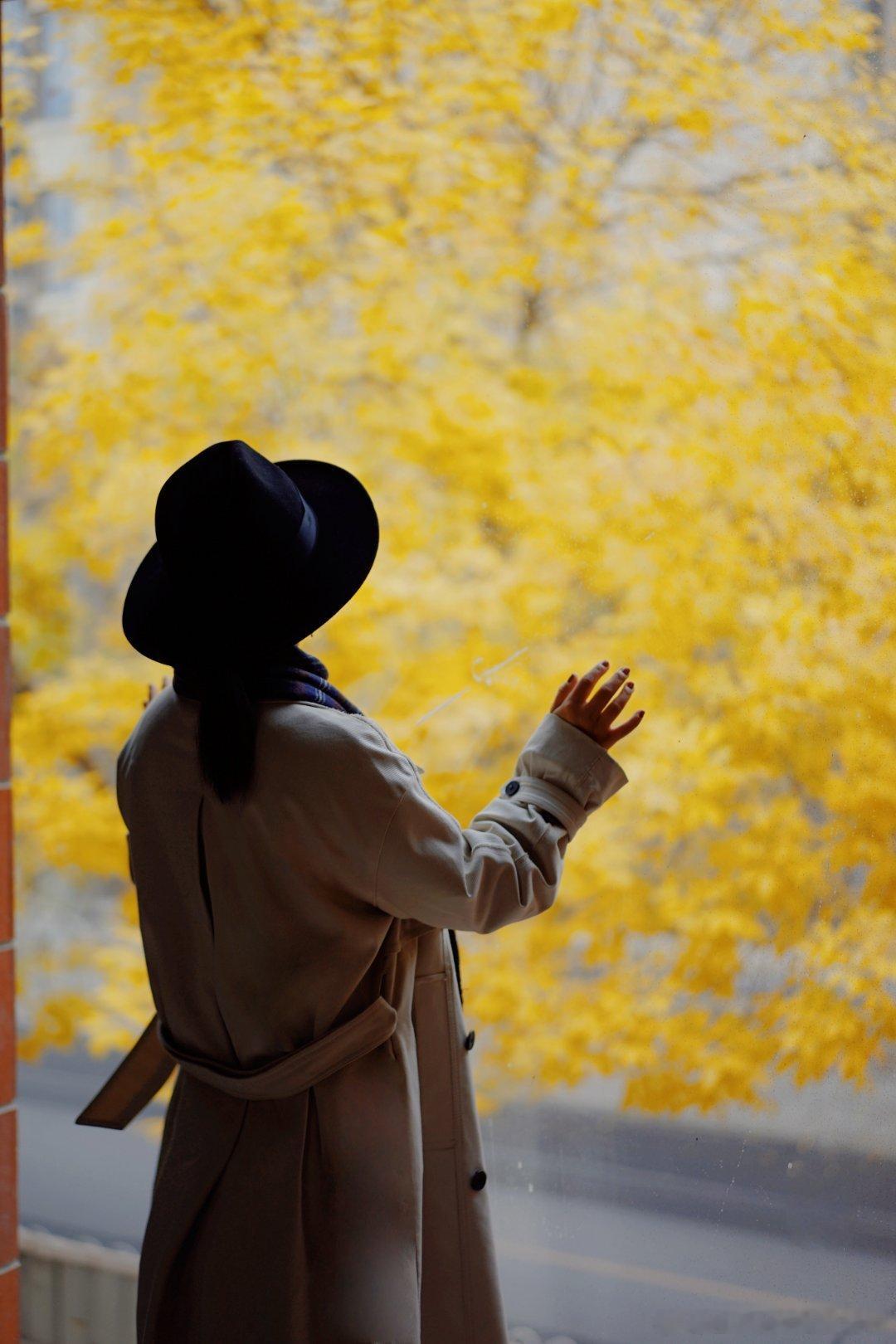 北京的秋天太美好啦！蓝天白云配红叶，不拍几张美照都对不起这天气！🍂但一换季我这