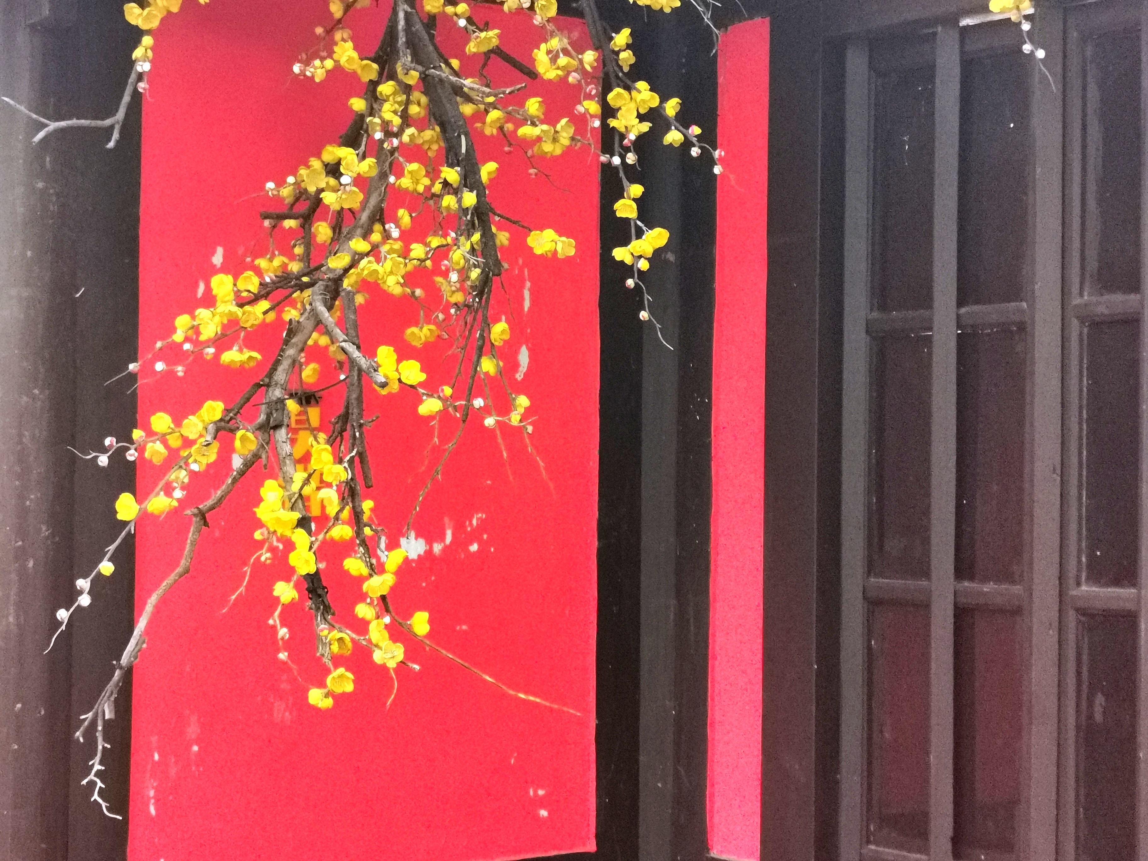 浙江绍兴 
