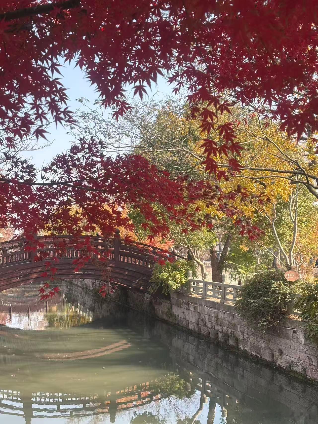 1️⃣ Waymo 不独立造车卖车，只自研Waymo Driver系统，向极氪/