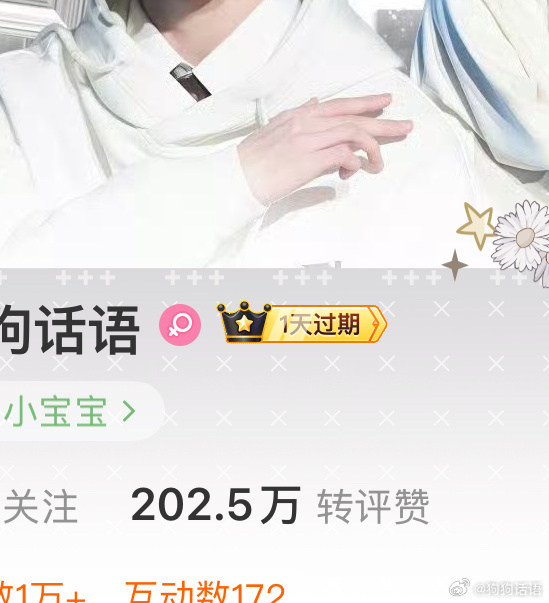 拜拜vvip ​​​