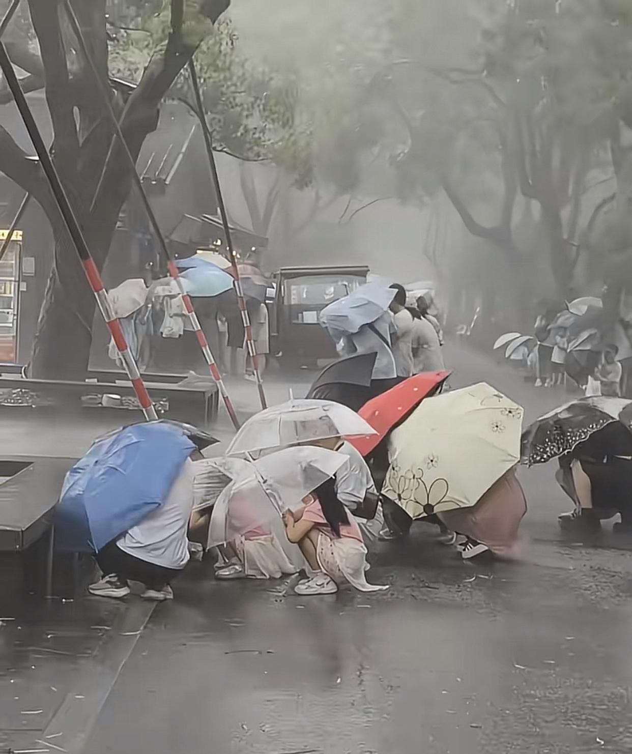 杭州西湖，台风天，游客躲在大树底下避雨，还真敢，如果树上一棵大树杈被刮断，问你往