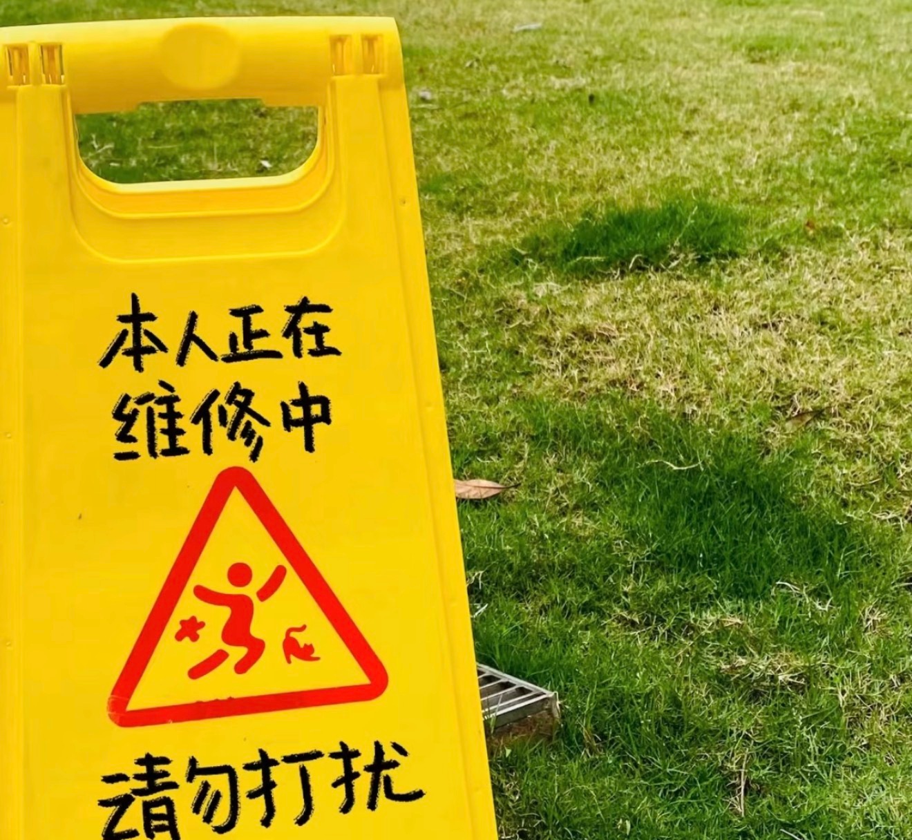 人类真是可可爱爱 零件坏了会主动去🏥修理厂 ​​​